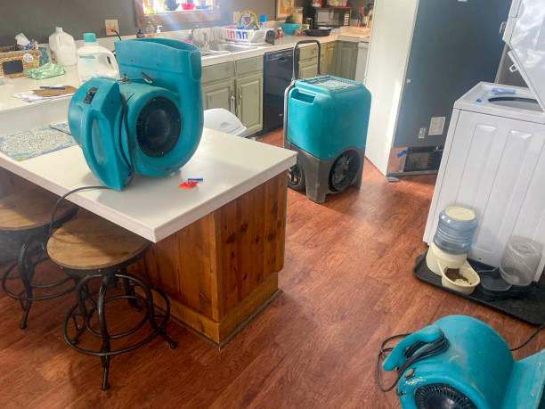 Best Water damage mitigation services  in Gardendale, TX