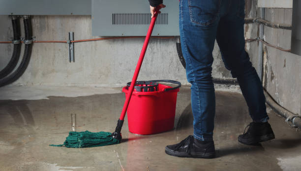 Best 24-hour water damage restoration  in Gardendale, TX