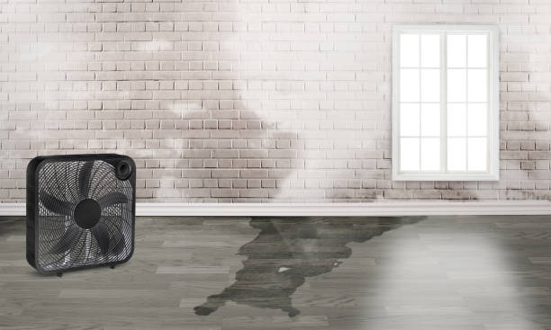 Best Carpet water damage restoration  in Gardendale, TX