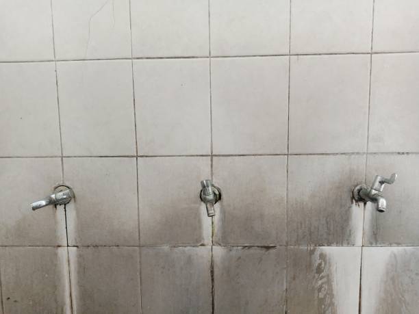 Best Mold removal after water damage  in Gardendale, TX