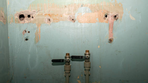 Best Water damage cleanup near me  in Gardendale, TX