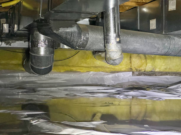 Best Ceiling water damage repair  in Gardendale, TX