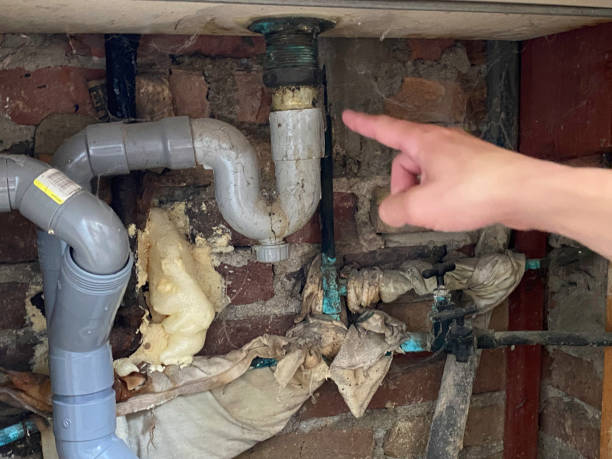 Best Flood damage cleanup  in Gardendale, TX