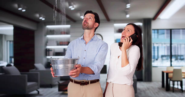  Gardendale, TX Water damage restoration Pros